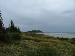 La côte battue par les vents
