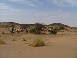 Mauritanie 2004 - KapSud