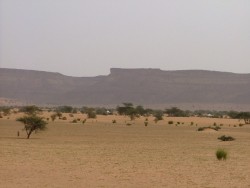 Premier contact avec l'Adrar