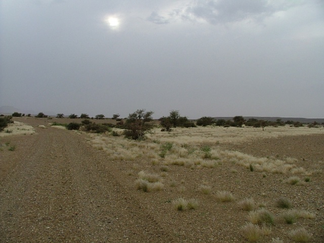 Pistes de l'Adrar