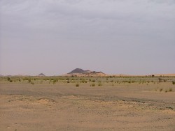 Paysage minéral et pour une fois végétal
