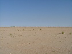 Le "petit" train du désert