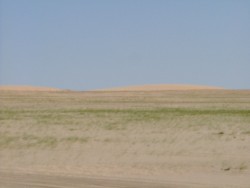 Les prairies du désert