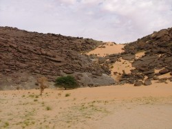 Autour de Ben Amira