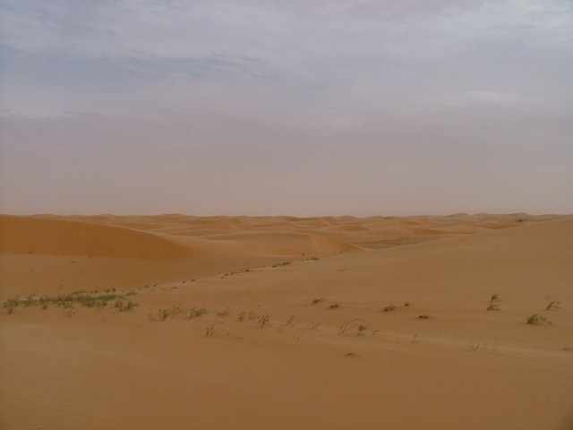 Dunes à perte de vue