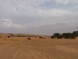 Le superbe oued Rachid que nous remontons avec bonheur