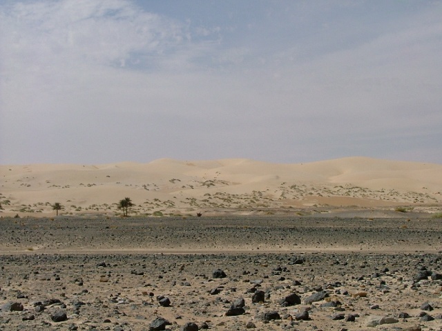 Les dunes blondes de Tichit