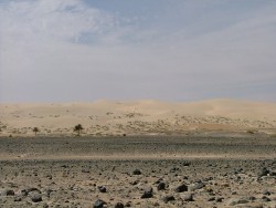 Les dunes blondes de Tichit