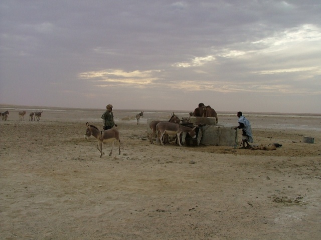 Puits de Touijinet