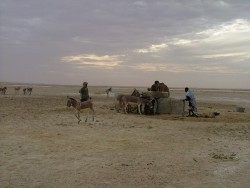 Puits de Touijinet